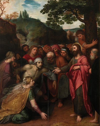 La resurrezione di Lazzaro da Otto van Veen