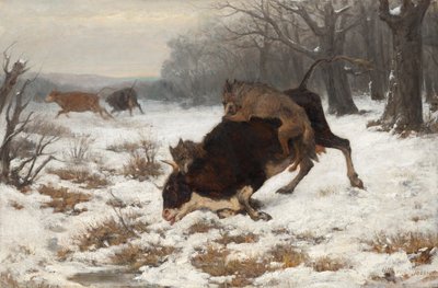 Una mucca attaccata dai lupi da Otto von Thoren