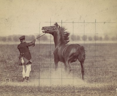 Cavallo, 1884 da Ottomar Anschütz