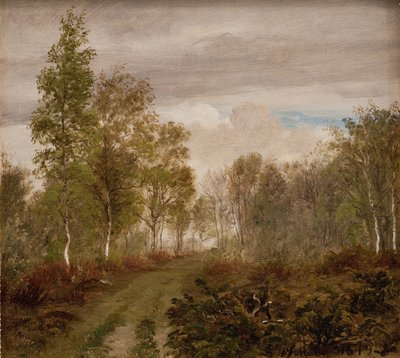 Betulle a Læsø dopo la pioggia da P.C. Skovgaard