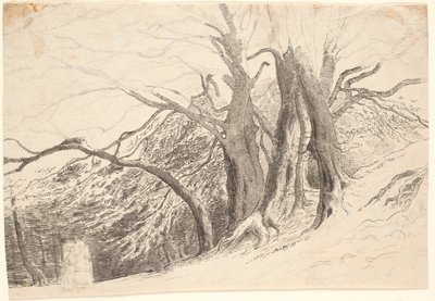 Una scarpata con grandi alberi in un bosco, con due donne che camminano da P.C. Skovgaard