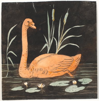 Un cigno su sfondo nero. Bozzetto decorativo. da P.C. Skovgaard