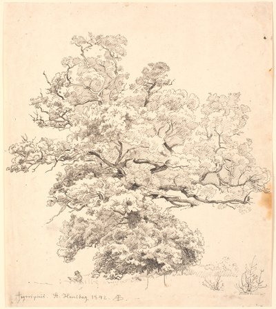 Una grande quercia, sotto la quale siede un uomo che disegna da P.C. Skovgaard