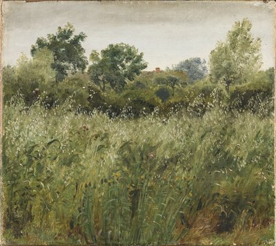 Campo di avena vicino a Vejby da P.C. Skovgaard