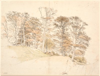 Alberi alti con foglie autunnali su terreno collinare da P.C. Skovgaard