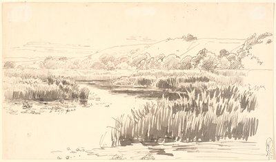 Paesaggio con un fiume lungo la cui riva crescono alti giunchi. Colline sullo sfondo. Probabilmente Vejle da P.C. Skovgaard