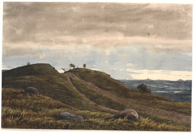 Paesaggio con una strada sabbiosa che attraversa una collina di erica. A destra vista su una vasta terra con torbiere. Dalla regione di Raageleje? da P.C. Skovgaard
