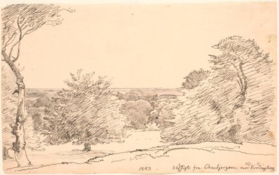 Paesaggio con alberi e ampia vista dagli Ambjergene verso Vordingborg da P.C. Skovgaard