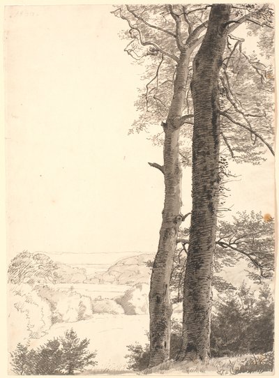 Paesaggio vicino a Skarritsø con due alberi alti, faggi, in primo piano da P.C. Skovgaard