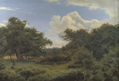 Querce nella Nordskoven vicino a Jægerspris, Zelanda da P.C. Skovgaard