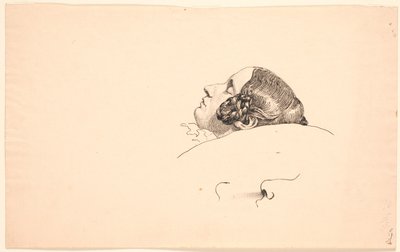 Ritratto di profilo della moglie dell