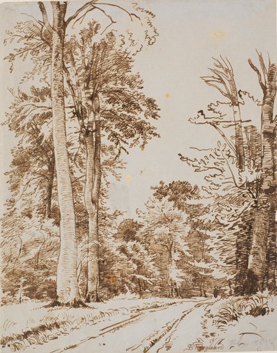 Strada forestale. Iselinge da P.C. Skovgaard