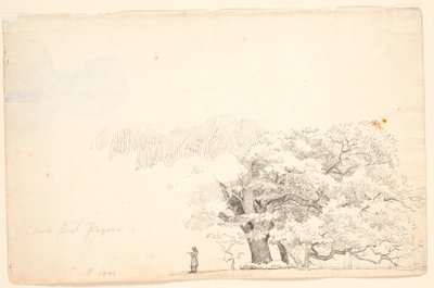 Grandi querce, a sinistra un uomo che legge da P.C. Skovgaard