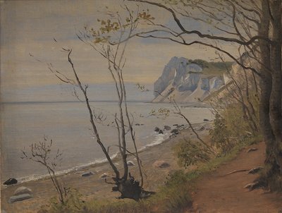 Le scogliere dell
