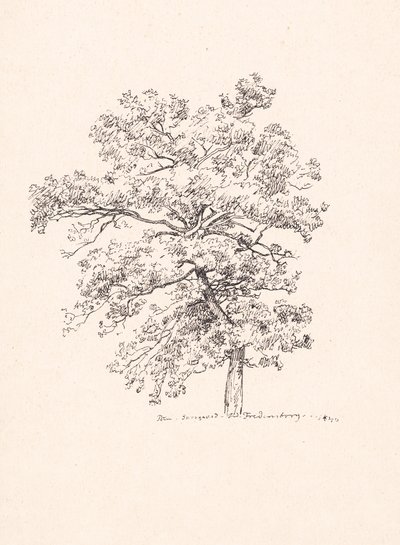 Albero a Fredensborg da P.C. Skovgaard