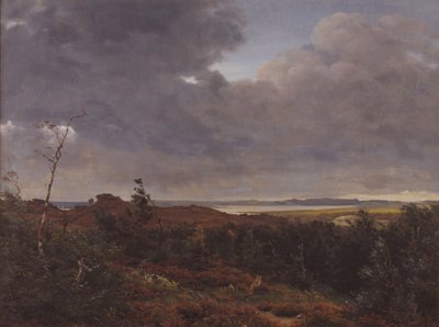 Veduta di Frederiksværk dal bosco di Tisvilde, Nord Zealand da P.C. Skovgaard