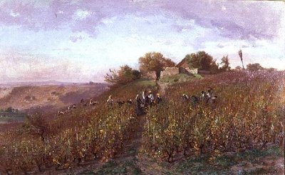 Vendemmia sui pendii dell