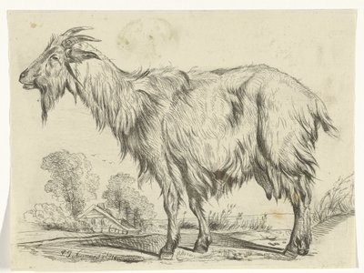 Capra in piedi da P.J. Neumans