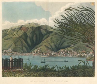 Veduta di St. Thomas, presa da Havensicht, 18 gennaio, litografia di Joseph Constantine Stadler da P. M. (after) Vieillot