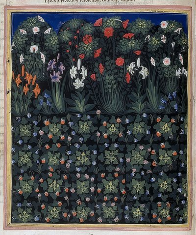 Giardino (Da: Regia Carmina di Convenevole da Prato) da Pacino di Bonaguida
