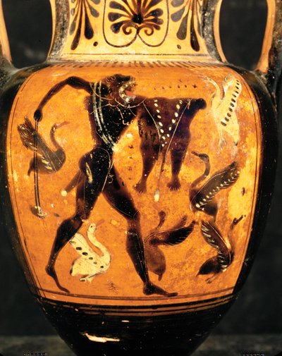 Ercole che combatte contro gli Uccelli Stinfali ... da Painter Diosphos