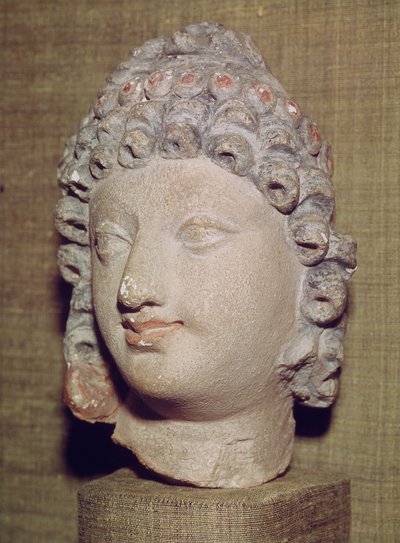 Testa di un Buddha, stile greco-buddista, I-IV secolo da Pakistani School