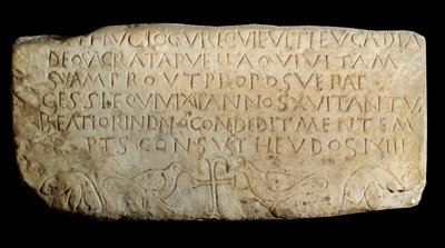 Arte paleocristiana: epitaffio di Leucadia. Placca dalla vecchia chiesa dei Maccabei a Lione. Parigi, Museo del Louvre da Paleo Christian Paleo Christian