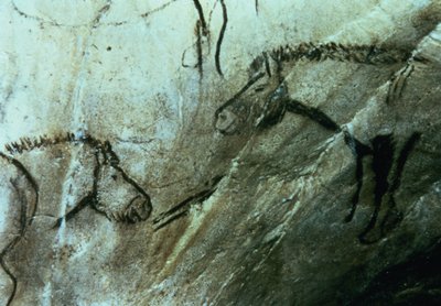 Cavalli, pitture rupestri nella Sala Nera, Magdaleniano da Paleolithic Paleolithic