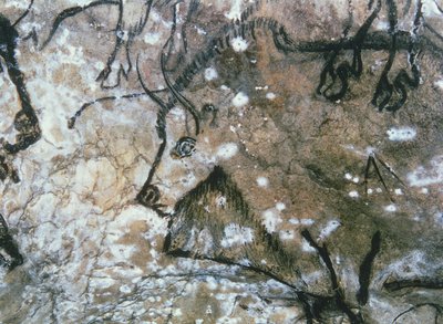Toro ferito, pittura rupestre, Magdaleniano da Paleolithic Paleolithic