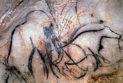 Dipinti raffiguranti mammut e bovini, dalla Cappella dei Mammut da Paleolithic Paleolithic