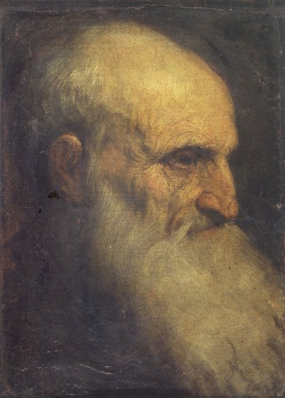Testa di un uomo (fronte), c.1588-90 da Palma Il Giovane