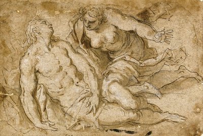 Venere scopre Adone morto da Palma Il Giovane