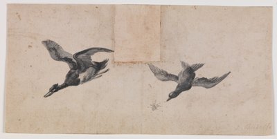 Due uccelli in volo da Pandolfo Reschi