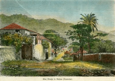 Una strada a Roseau, Dominica da Pann