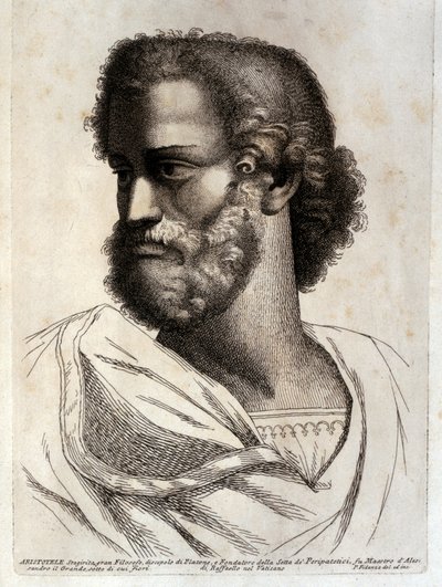 ARISTOTOLO da Paolo Fidanza