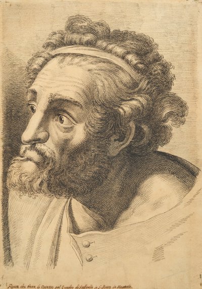 Testa di un uomo barbuto, da 42 studi di teste dopo Raffaello da Paolo Fidanza