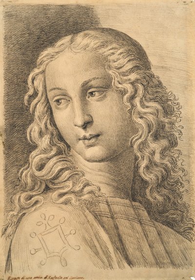 Testa di una donna, da 42 Studi di Teste dopo Raffaello da Paolo Fidanza