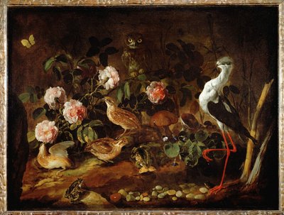 Natura morta con gufo e ibis - Nature morte avec une chouette et un ibis ... da Paolo Porpora