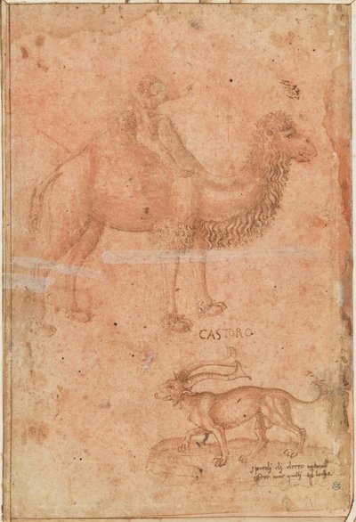 Un cammello con un bambino in groppa. Sotto, una bestia favolosa (Castoro) da Paolo Uccello