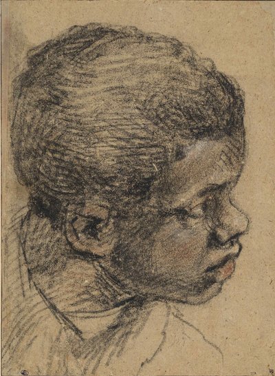 Testa di un ragazzo nero, XVI secolo da Paolo Veronese