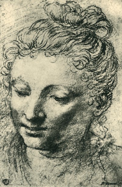Testa di una donna che guarda in basso, metà XVI secolo, 1943 da Paolo Veronese