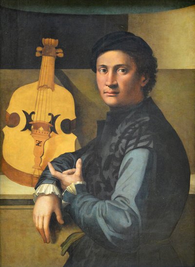 Ritratto di un suonatore di viola da Paolo Zacchia the Elder