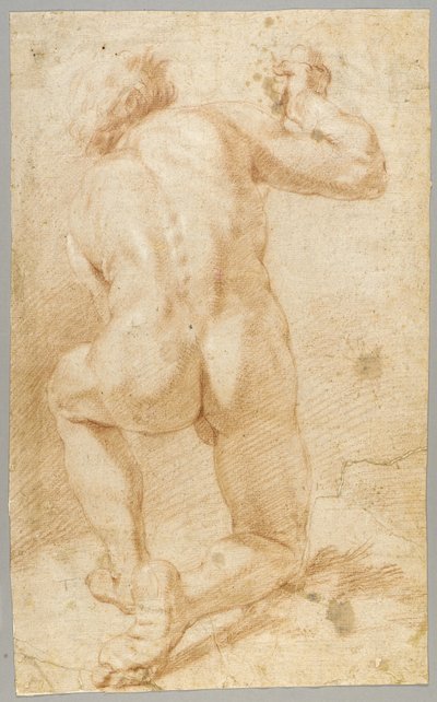Disegno da Paolo de Matteis