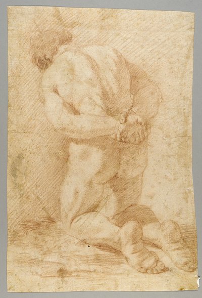 Disegno da Paolo de Matteis