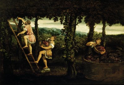 Scena di vendemmia da Paris Bordone