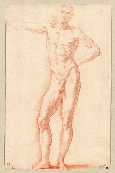 Un nudo maschile (gesso rosso) da Parmigianino (1503-40)