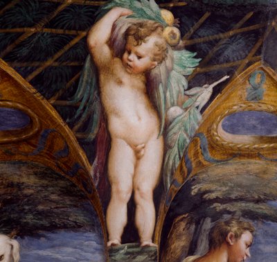 Cherubino (dettaglio) da Parmigianino