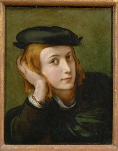 Ritratto di un giovane uomo ... da Parmigianino (1503-40)