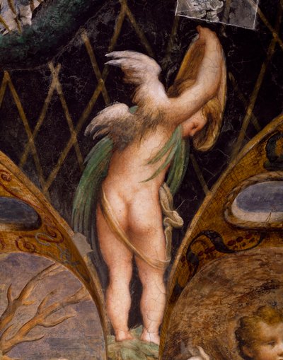 Putto, dal Mito di Diana e Atteone da Parmigianino