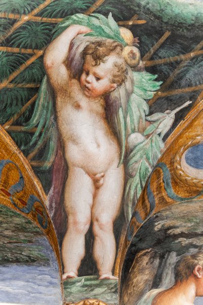 Putto, dalla Stanza di Diana e Atteone (dettaglio) da Parmigianino
